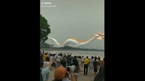 Tik tok chinese dragon!