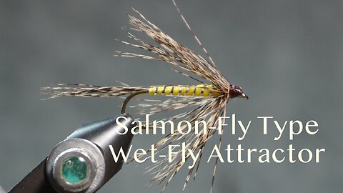 Salmon-Fly Type - Wet-Fly Attractor (Fling & Puterbaugh 24/30)