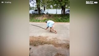 Une grand-mère tue un serpent à mains nues