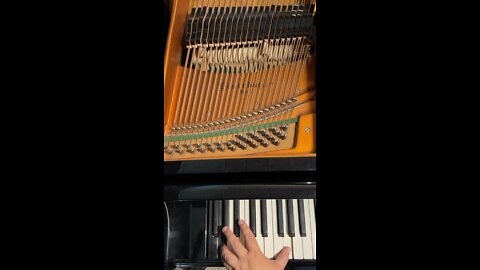 Playing the lowest notes on my Bösendorfer