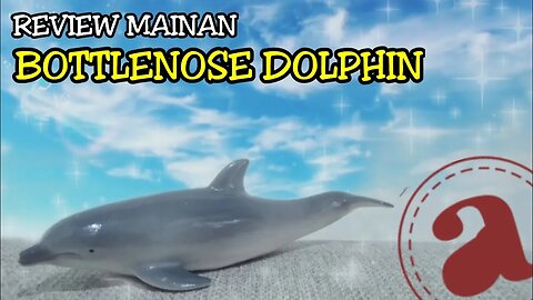 REVIEW MAINAN LUMBA-LUMBA 🐬 | BOTTLENOSE DOPLHIN | RECUR-DELPHINDAE