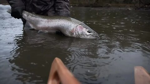 Catching STEELHEAD In The Most INSANE Rainstorm EVER!