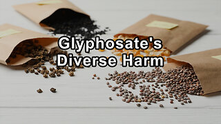 Jeffrey Smith Speaks About Glyphosates Adverse Effects on Living Organisms Include Damaging