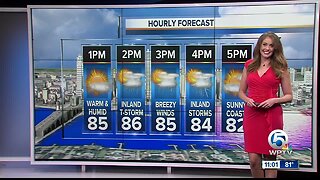 South Florida Friday afternoon forecast (5/10/19)