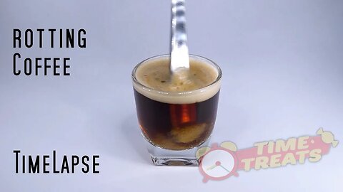 Oups, I Forgot to Drink my Coffee... - Rotting Time Lapse