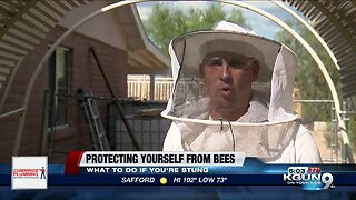 Staying safe around bees in Southern Arizona