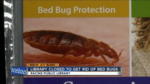 Exterminators eradicating bed bugs from Racine Library