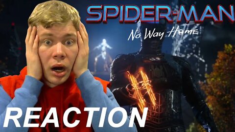 Reaction and Discussion: Spider-Man: No Way Home Trailer 2