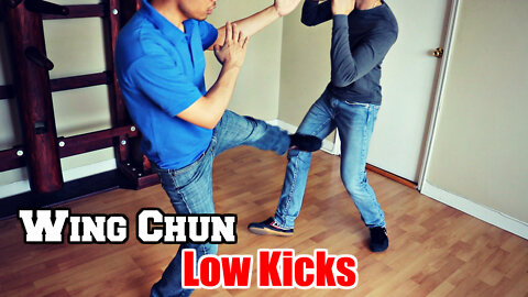 WING CHUN IN MMA: The Oblique Kick And The Low Front Side Kick