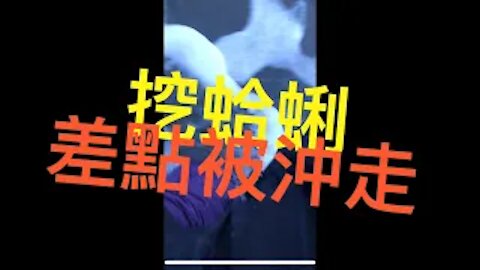 美國挖蚌 | 挖蛤蜊Vlog挑戰高難度沙灘差點被沖走？！原來大隻的都在這！Washington Clam Digging at Copalis Beach