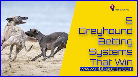 5 Greyhound Betting Systems That Win