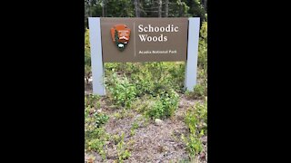 Schoodic Woods Campground in Acadia National Park
