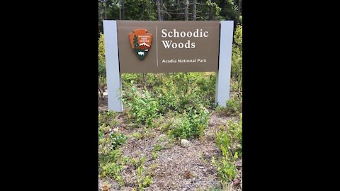 Schoodic Woods Campground in Acadia National Park
