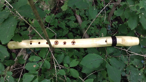 Pimak (flute of love) tone A in the forest