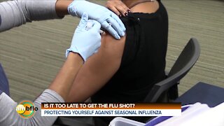 SHOUD YOU GET A FLU SHOT