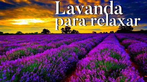 Lavanda para relaxar o ambiente,Música oriental Relaxante