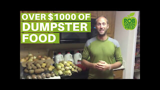 Dumpster Diving for Food with Rob Greenfield