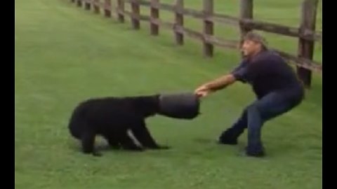 Heroes Rescue Bear With Bucket Stuck On Its Head