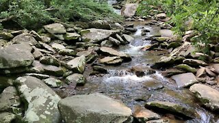 Great Smoky Mountains National Park - Stream