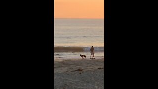 Cruising down the beach on a one wheel at sunset with your dog.