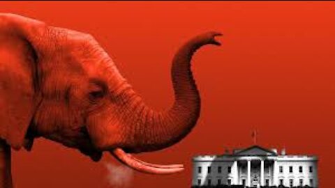 Can you see the ELEPHANT in the White house?