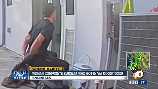 Encinitas woman confronts burglar who broke in via doggy door