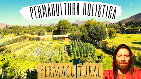 Permacultura Holística: ¿Que somos? | Permacultural