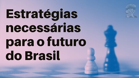 Estratégias necessárias para o futuro do Brasil