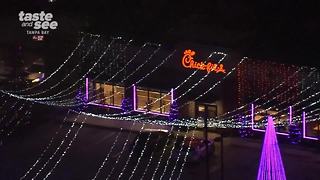 Tampa Chick-Fil-A Christmas display looks like it was taken over by Clark Griswold