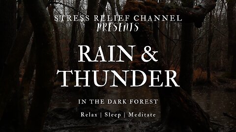 RAIN and THUNDER falling upon the Dark Forest | Relax | Study | Sleep | Meditate