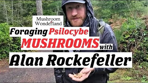 Foraging Psilocybe Mushrooms with Alan Rockefeller