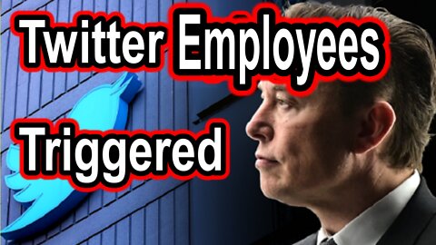 Twitter Employees Triggered....