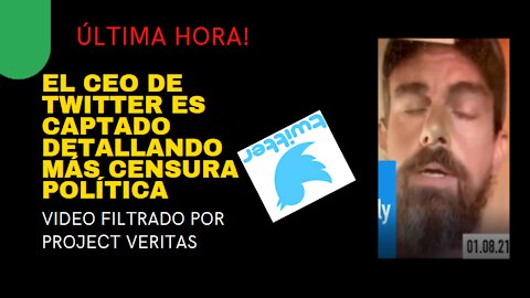 VIDEO FILTRADO Project Veritas revelando CENSURA de Jack Dorsey, CEO de TWITTER SUBTITULADO ESPAÑOL