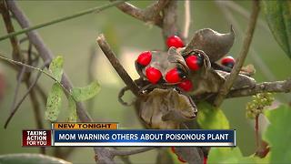 Mother warns parents about toxic plant