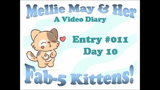 Video Diary Entry 011: Getting Down To Their Level - Day 10