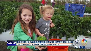 Local students hold school-wide gleaning effort