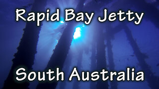 Freediving Rapid Bay Jetty, South Australia