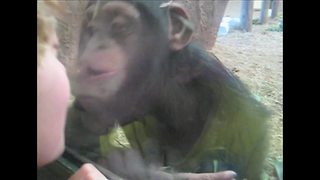 "Little Boy and Baby Chimp Send Each Other Kisses"