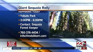 Giant Sequoia National Rally
