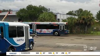 HART aims to start bus rapid transit between USF and Downtown Tampa