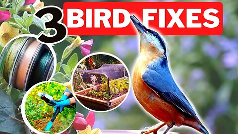 Keep Your Garden BIRD-FREE Forever