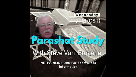 A Tower, A Statue, and Dry Bones Parsha Noach with Steve Van Bruaene