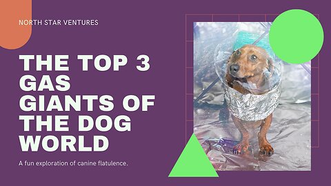 The Top 3 Gas Giants of the Dog World