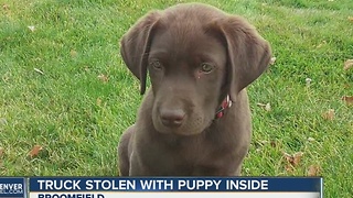 Stolen truck, puppy prompt police hunt