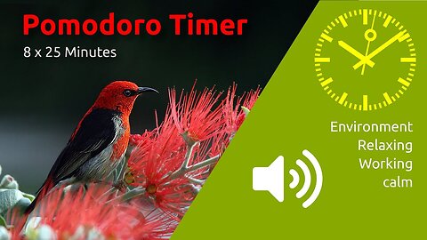 Pomodoro Timer 8 x 25min ~ Environment - Calm & Relaxing Music