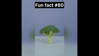 Did you know this about broccoli?