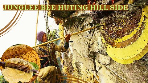 Beyond Sweetness: The Cultural Significance of Honey Hunting in Nepal