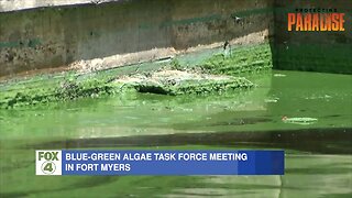 Blue-green algae task force meeting in SWFL