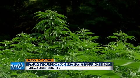 Milwaukee County Supervisor says country should grow hemp