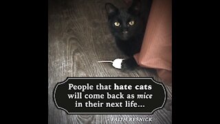 People That Hate Cats [GMG Originals]